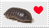 silly rolly polly